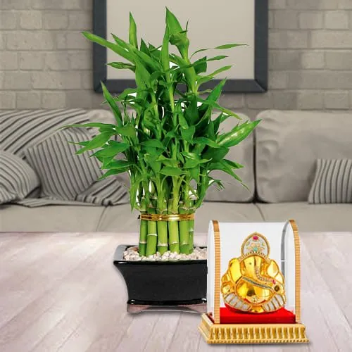 Buy Gift of Vinayak Ganesh Murti with 2 Tier Lucky Bamboo Plant