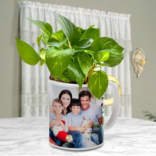 Deliver Money Plant in Personalized Coffee Mug