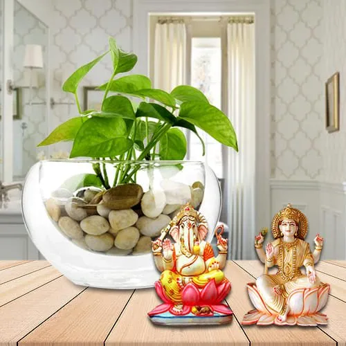 Golden Money Plant in Glass Pot with Holy Ganesh Lakshmi Idol