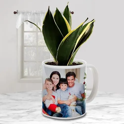 Good Luck Milt Sansevieria Plant in a Personalized Mug