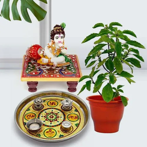 Attractive Combo of Holy Tulsi Plant N Puja Greeting Hamper