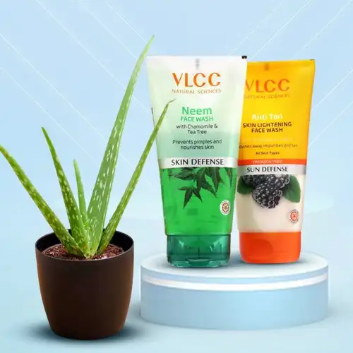 Skin Care Hamper with Nicely Wrapped Aloe vera Plant