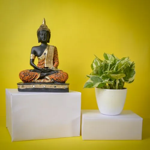 Air Purifying Golden Pothos Plant n Buddha Idol Duo