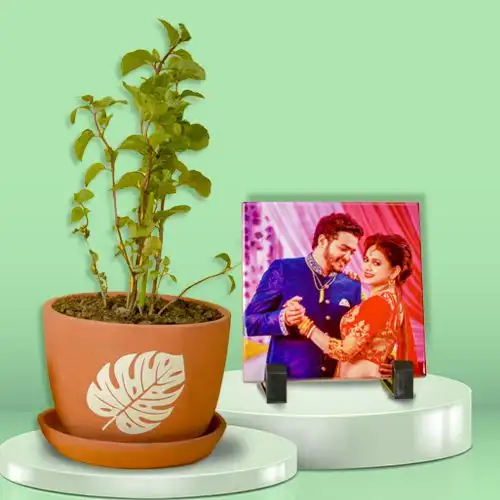 Aesthetic Combo of Pudina Plant with Personalized Photo Tile