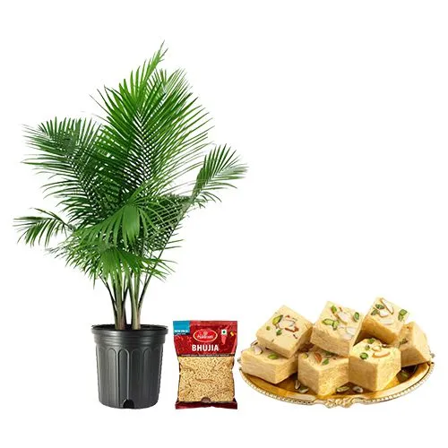 Fantastic Trio of Potted Majesty Palm with Bhujia N Soan Papdi