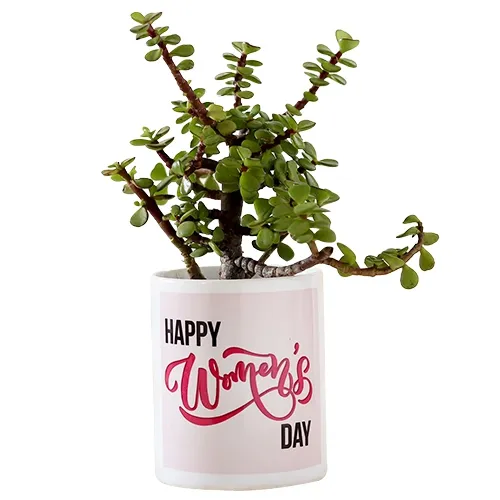 Good Fortune Jade Plant with Personalize Coffee Mug Combo
