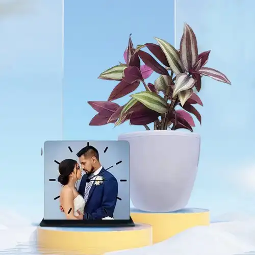 Fantastic Inch Plant with Personalized Photo Table Clock Set