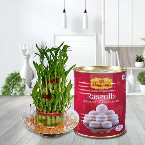 Send Two Tier Lucky Bamboo Plant with Haldirams Rasgulla