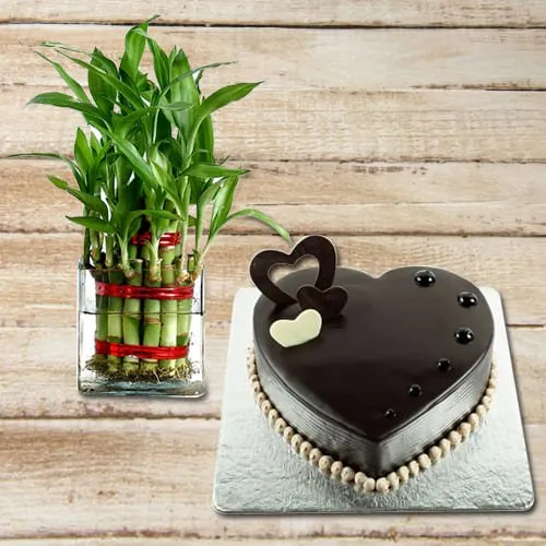 Order 2 Tier Lucky Bamboo Plant with Heart Shaped Chocolate Cake