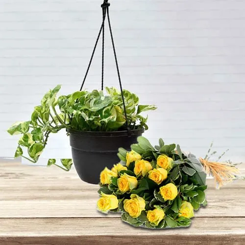 Hanging Feng Shui Money Plant with Yellow Rose Bouquet