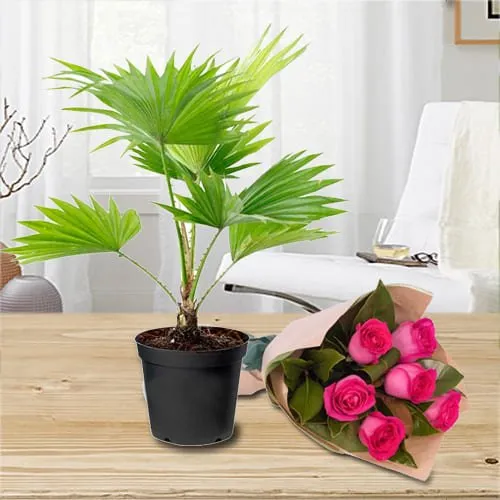 Online Gift of China Palm in Plastic Pot with Bouquet of Pink Roses