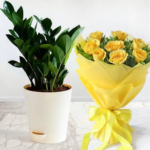 Breathtaking Indoor Air Purifying Plant N Rose Bunch Combo