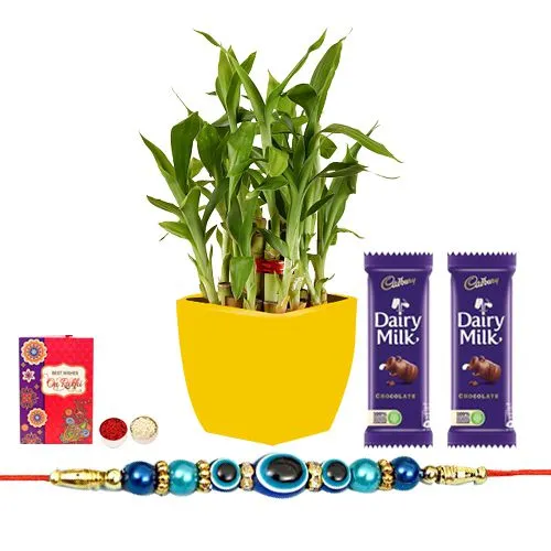 Aromatic 2 Tier Bamboo Plant with Evils Eye Rakhi