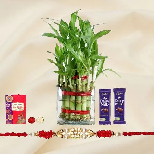 Lovely Rakhi with 2 Tier Lucky Bamboo Plant
