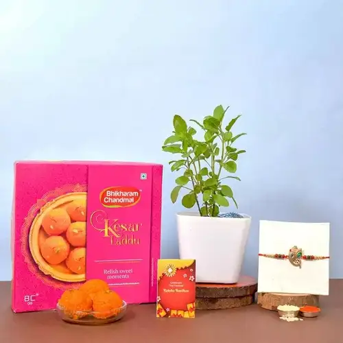 Ganesh Rakhi with Tulsi Plant N Laddu