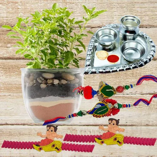 Holy Tulsi Plant, Silver Plated Pooja Thali n Family Rakhi Set