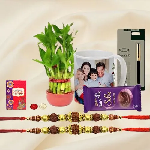 Lucky Bamboo Plant with n Twin Rudraksha Rakhi n Gifts