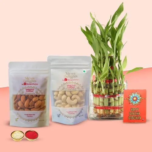 Attractive Bhai Rakhi with Dry Fruits n Bamboo Plant