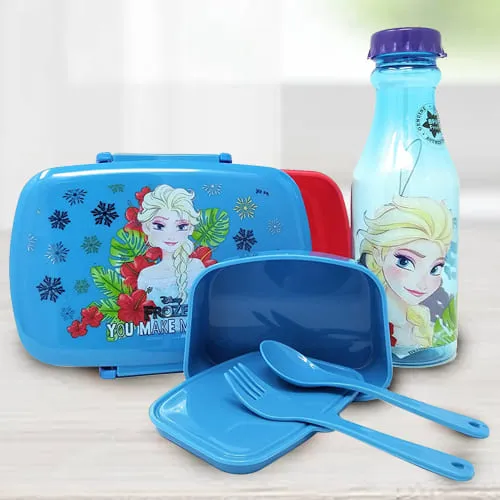 Remarkable Disney Frozen Lunch Box n Water Bottle Set
