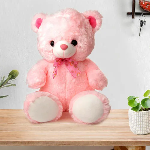 Shop for Wonderful Big Teddy Bear