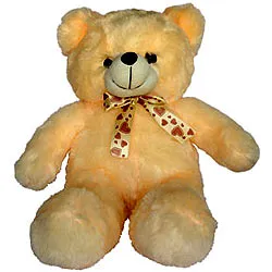 Buy Teddy Bear for Kids