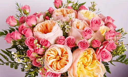 Fresh Flowers