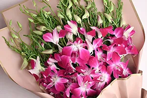 Orchids