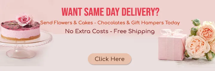 Same Day Delivery Gifts in 2-Hrs India: Flowers, Cake, Gifts @399 - FNP